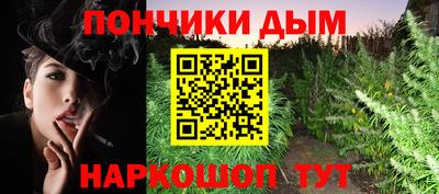 стаф Гай