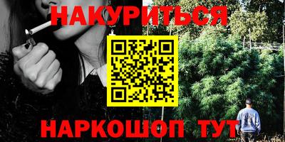 стаф Гай