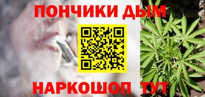 стаф Гай