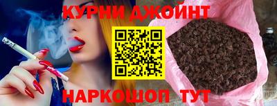 стаф Гай