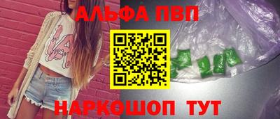 стаф Гай
