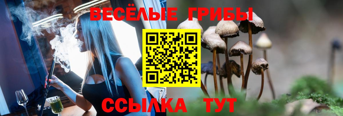 Псилоцибиновые грибы Psilocybe  Вход с VPN  Арзамас 